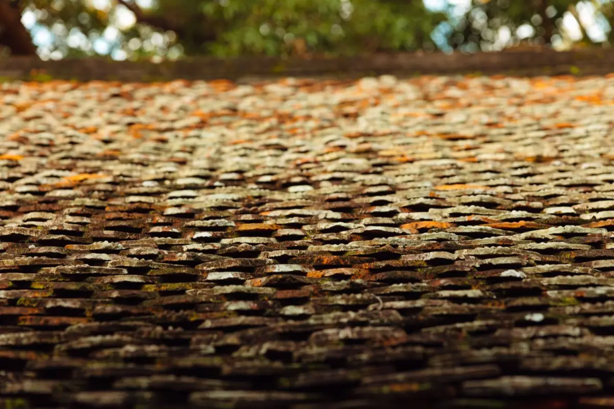 Aging shingle roof with moss growth and granule loss in Everett, WA