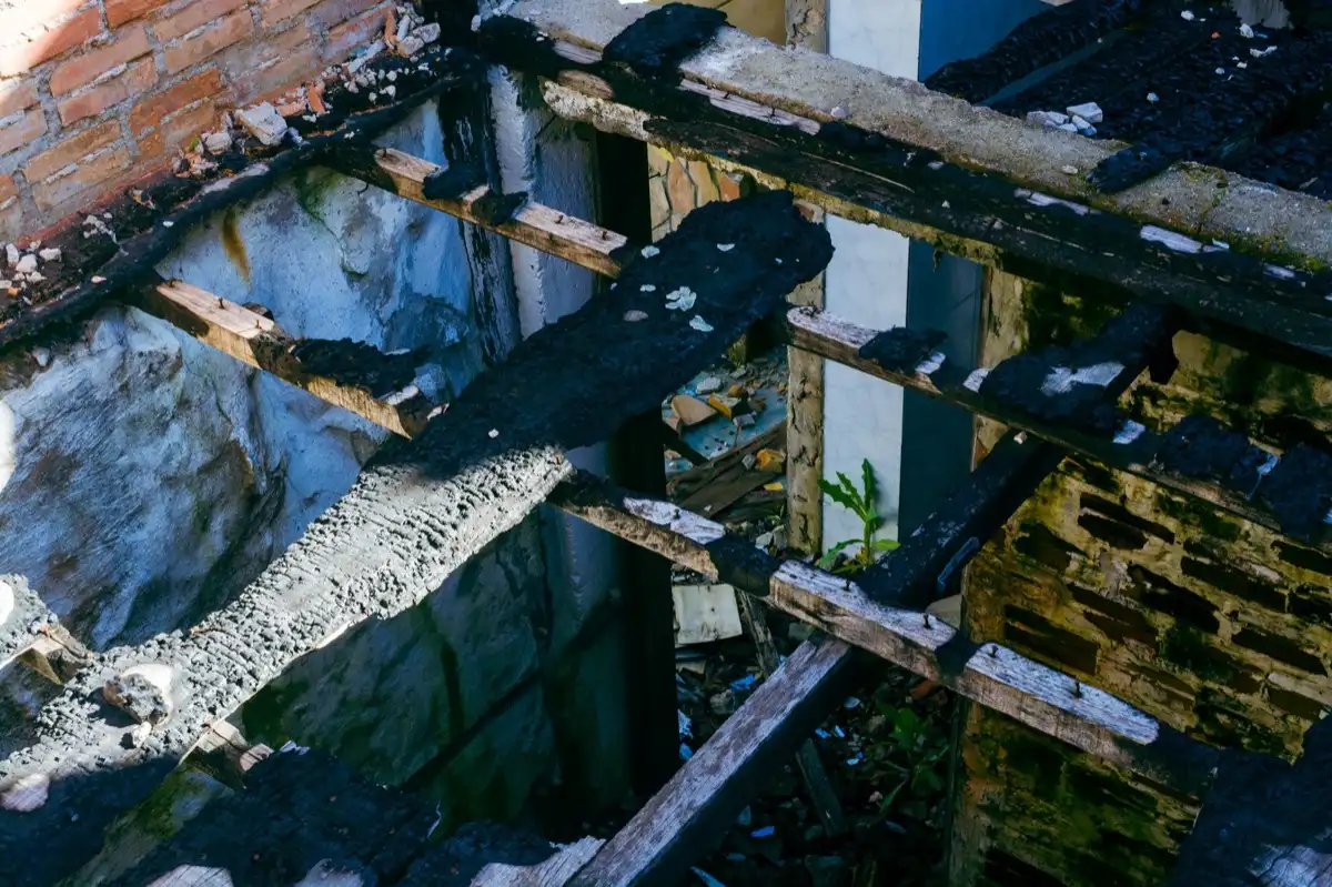 Roof Leak Repair in Everett, WA